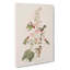 Columbian Hummingbirds - Wrapped Canvas Painting-55371415