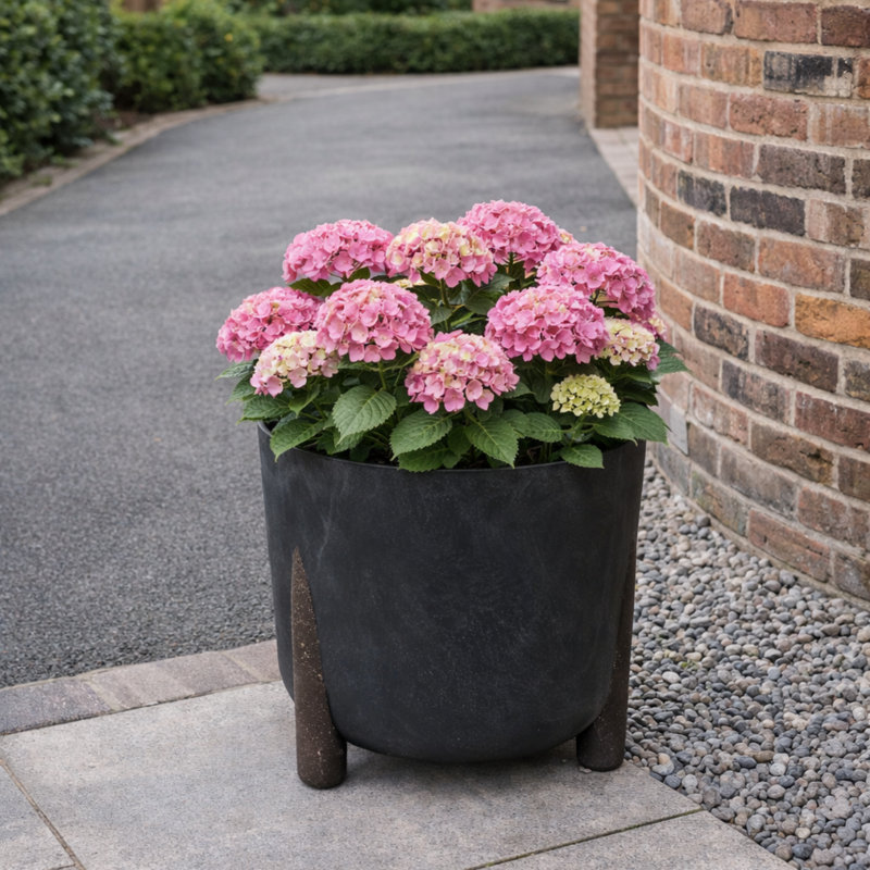 Telisha Pot Planter, 29.4cm H x 34cm W x 34cm D, Black