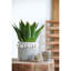 Bea Pot Planter - Set of 2-372703280