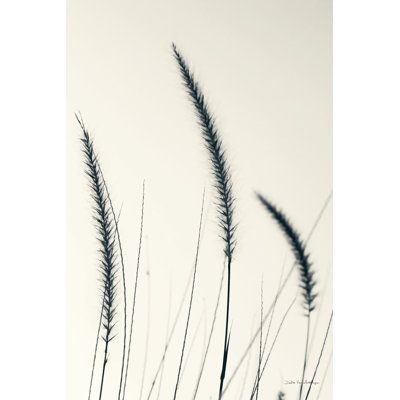 Herbes de champ IV - impression