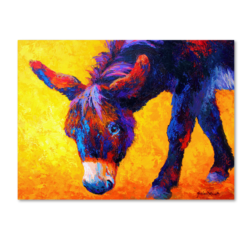 «Donkey II» par Marion Rose, reproduction sur toile, H 24 po x l 32 po x P 2 po
