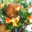 Plastic, Silk Artificial Arrangement-106401545