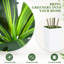 Arbre artificiel Dracaena de 1,5 m, plante Dracaena fragrans à plusieurs têtes avec pot blanc, feuilles réalistes aux tons jaunes, plante d'intérieur facile d'entretien pour la décoration de la maison et du bureau extérieur couvert-129867221