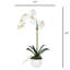 Orchid Faux Floral in Vase-1870534634-1870534635