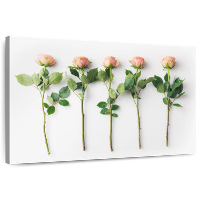 Harnek roses et épines