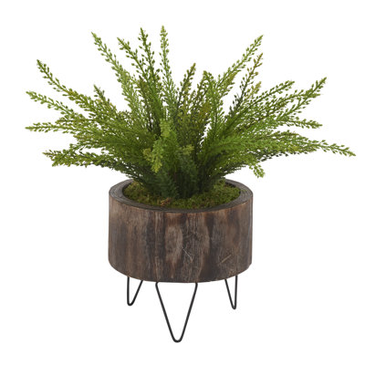 Heather Fern dans une jardinière ronde en bois avec des pieds en fil de fer