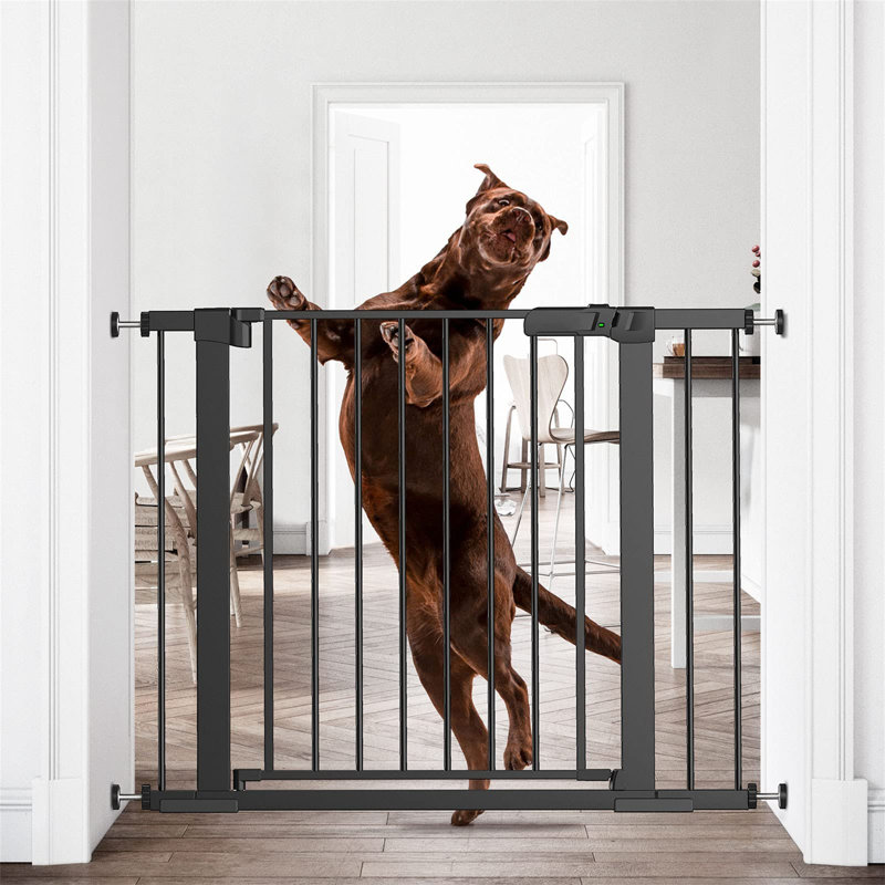 Barrière pour animaux Brackmann, Noir