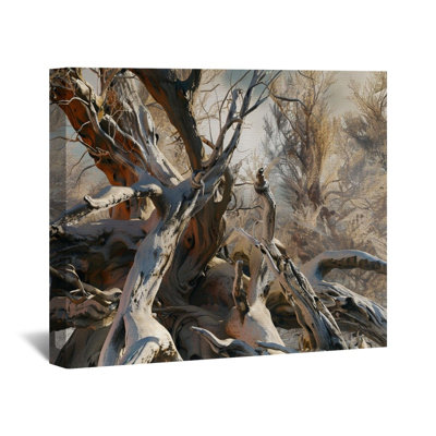 on Canvas