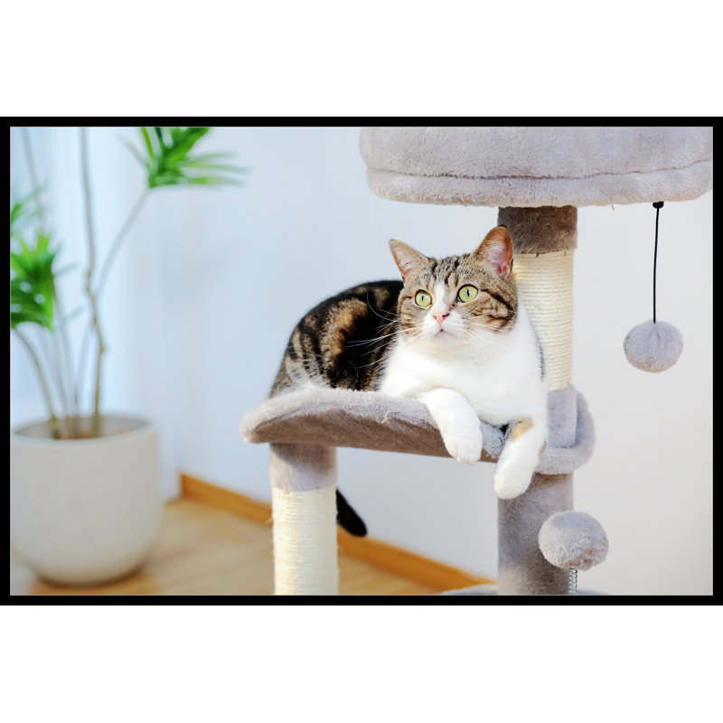 Emmelene 32.7'' H Cat Tree, Gray