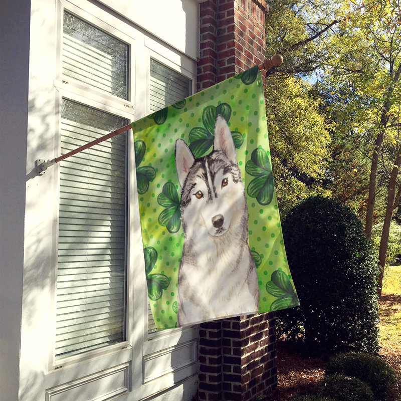 40 x 28 po en polyester à 2 côtés de la st patrick drapeau maison, Husky sibérien gris clair
