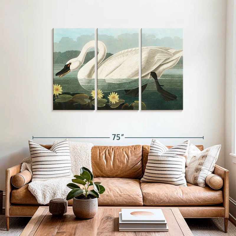Brampt Common American Swan, 36" H x 57" W
