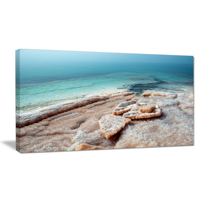 " Dead Sea Beach With Crystallized Salt "