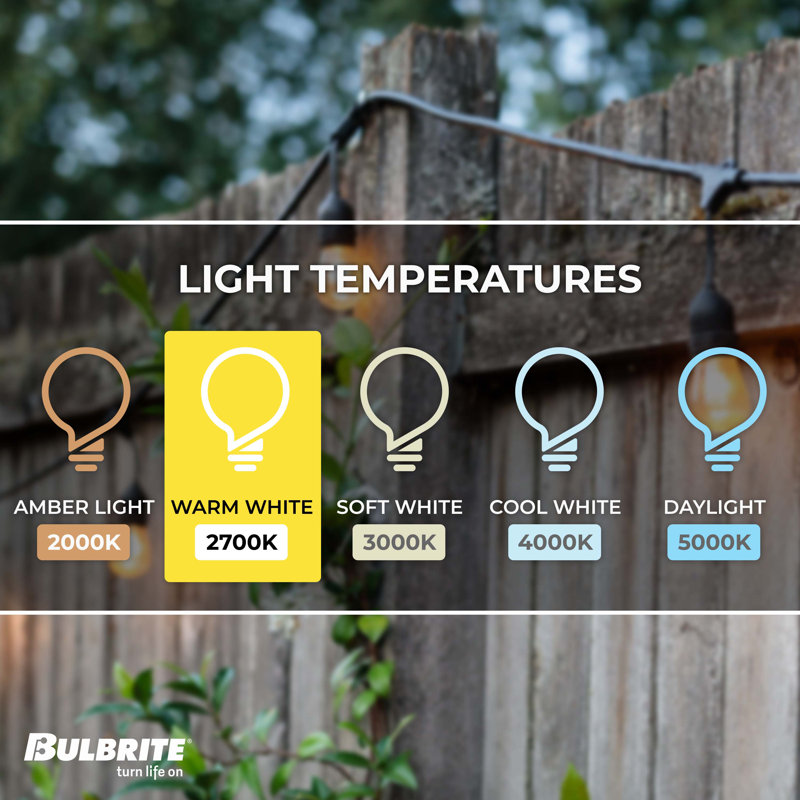 Junell Bulbrite 14-foot String Light Kit with Clear Shatter Resistant LED Light Bulbs, Standard