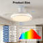 20cm Ceiling Fan