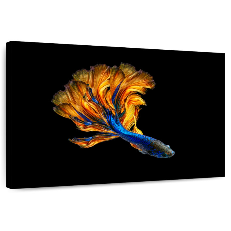 Brampt Yellow Tailed Blue Betta Fish, 16" H x 24" W