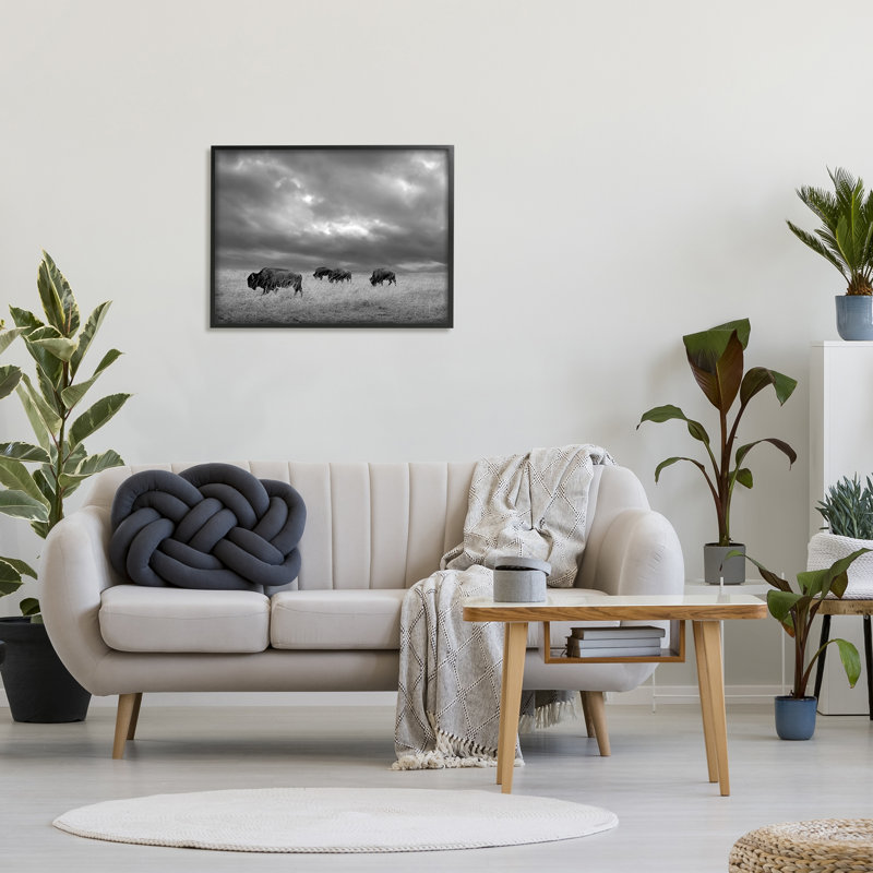 Bison in Cloudy Field par Steve Toole, Giclée encadrée noir minuit, H 24 po x l 30 po x P 1,5 po