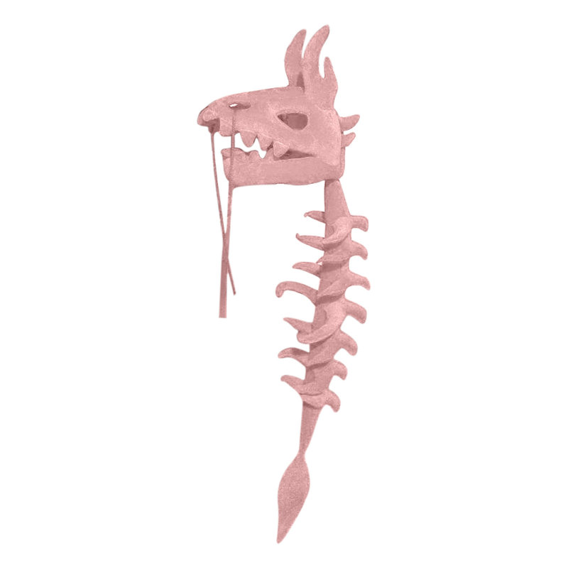 Realistic Dinosaur Skeleton Set, D