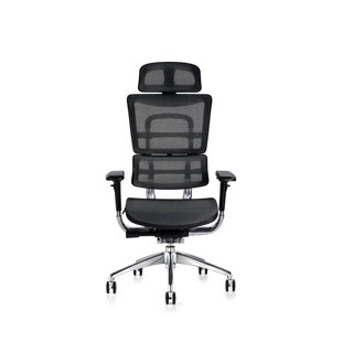 Desk Chair with Headrest