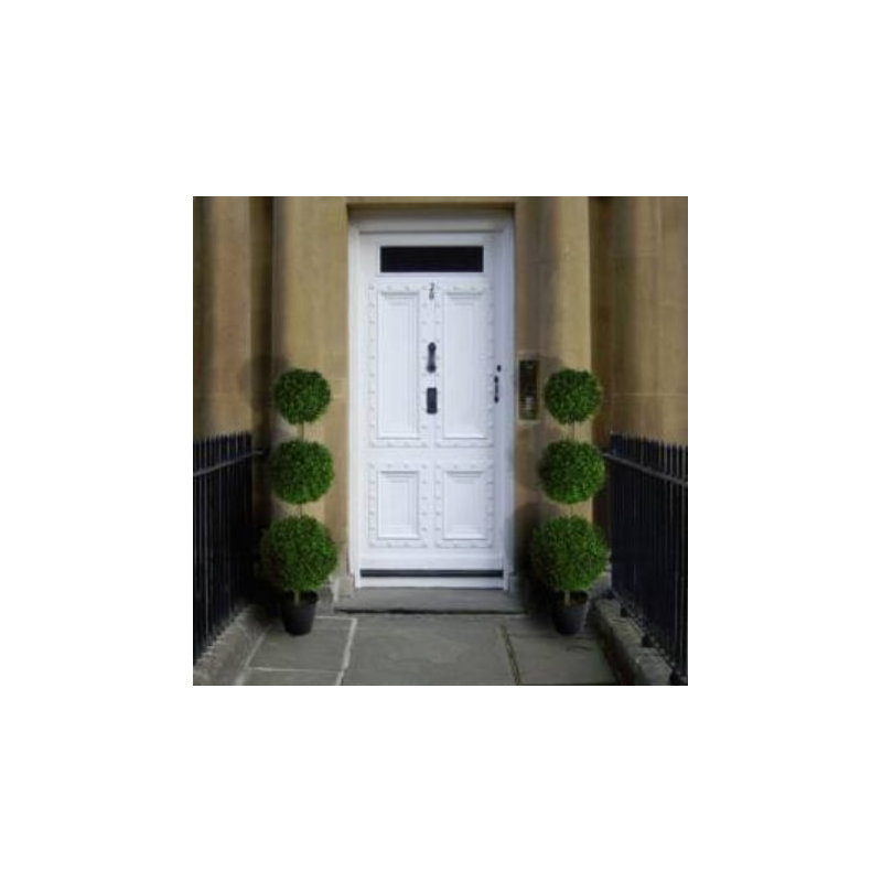 120cm Boxwood Topiary in Pot