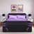 Black/Purple sélectionné