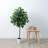 Zapata 48'' Faux Ficus Tree in Planter