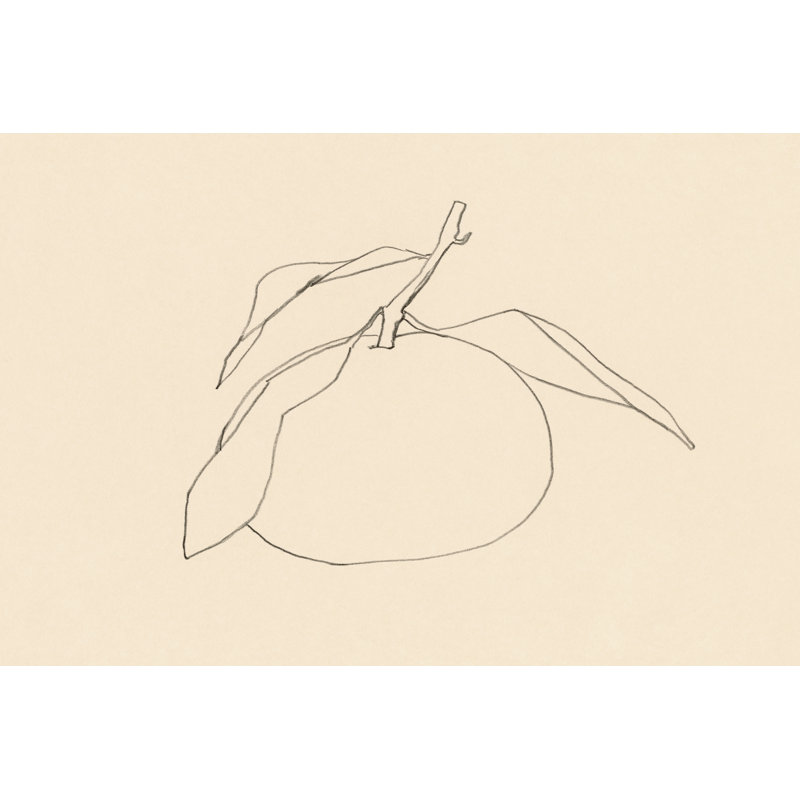 Citrus Shape I by Victoria Barnes - Wrapped Canvas Print, 61cm H x 91cm W   