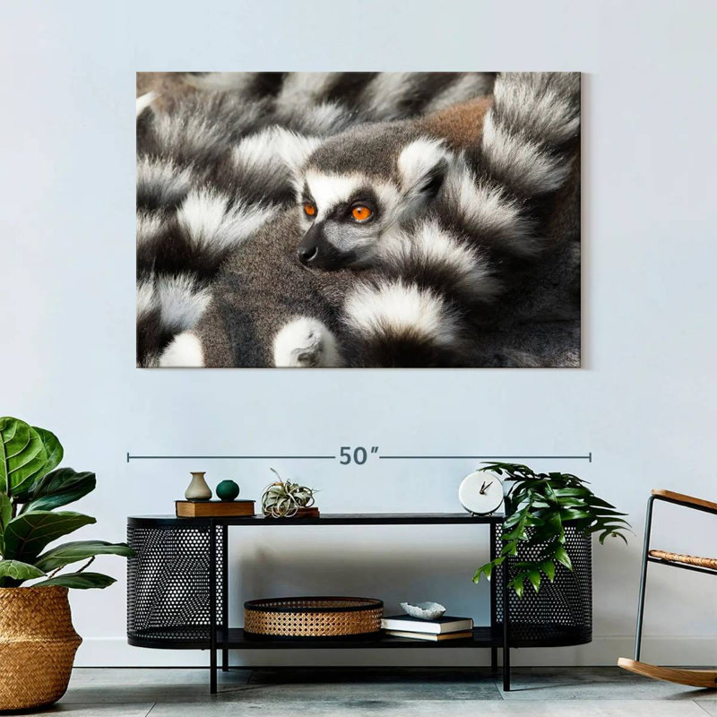 Crowle Ring-Tailed Lemur, 32" H x 48" W