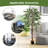 63'' Faux Ficus Tree in Freestanding