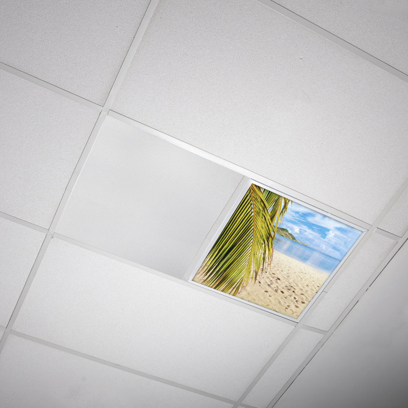 Beach Square Fixture Component Ceiling Light