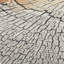Malad Rectangle Abstract Flokati Indoor / Outdoor-2086120704