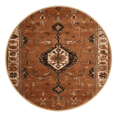 Machine Washable Persian Brown Area Rug