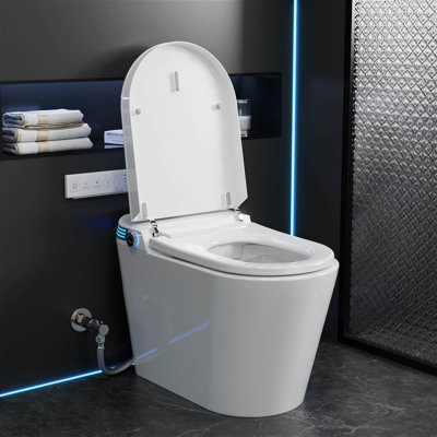 1.28GPF Tankless Smart Toilet With Self-Clean Bidet Sprayer, Heat Seat, Warm Wash/Dryer, Soft Closing, Remote Control