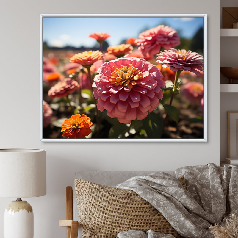 «Colorful Zinnias Field At Sunrise III», reproduction d'art sur toile, Blanc, H 30 po x l 40 po x P 1,5 po