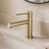 Brushed Gold selected