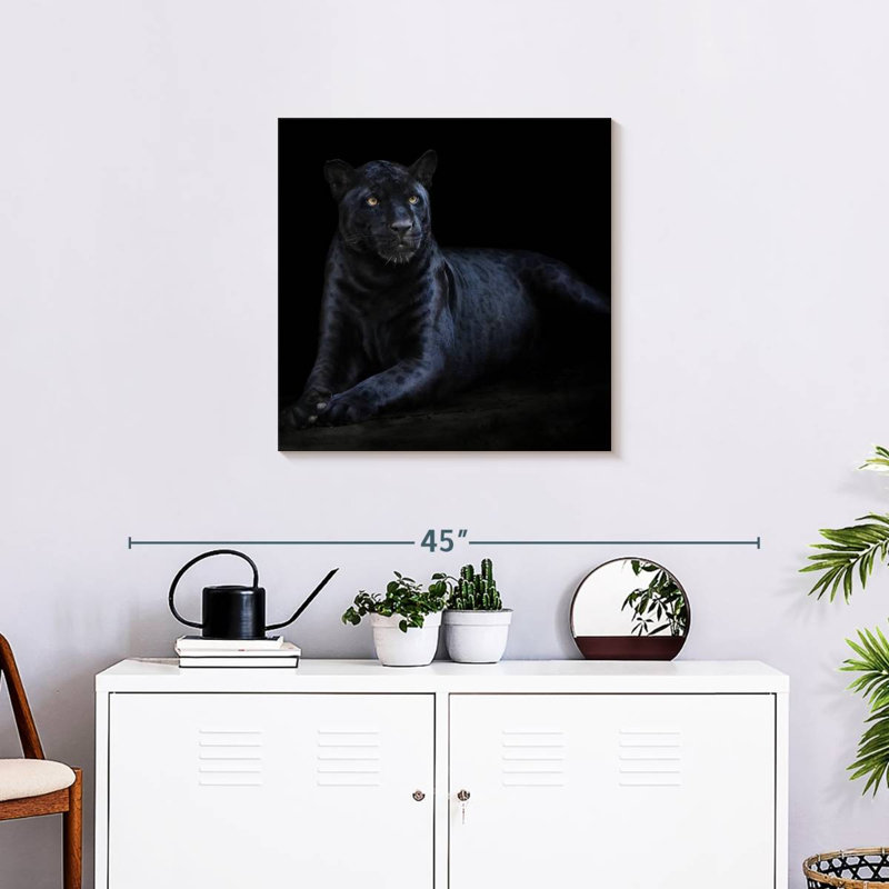 Brampt Black Jaguar, 24" H x 24" W