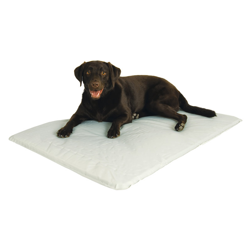 Tapis rafraichissant pour animaux, Grand (l 44 po x P 21 po x H 1,5 po)