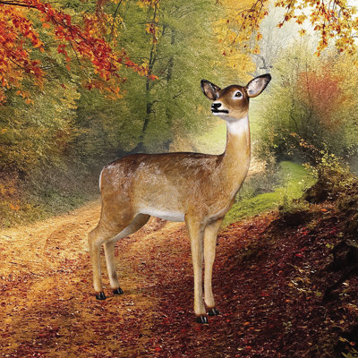 Forest White Tailed Doe Female Deer Statue