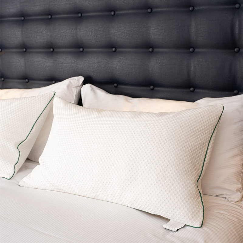 Sadiya L75 x W20cm Support Pillow