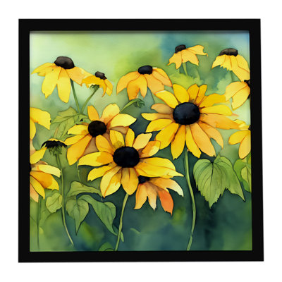 Maryland Susans aux yeux noirs dans une aquarelle, reproduction d'art encadrée