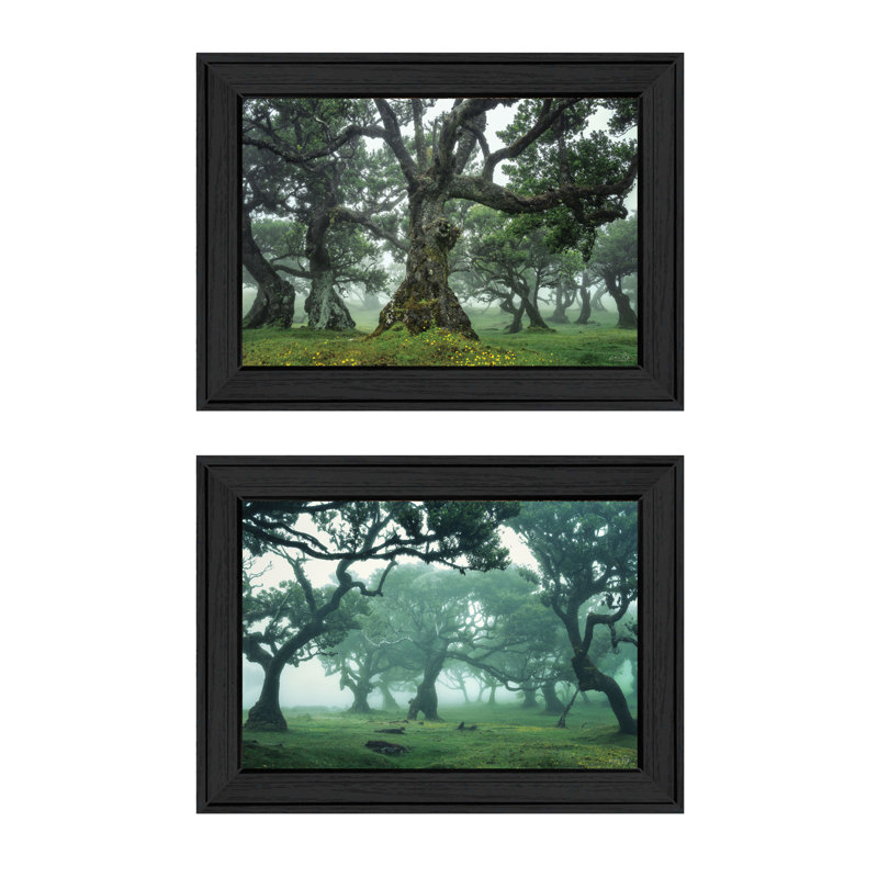 Collection «Enchanted Forest» par Martin Podt, encadrée prête à être accrochée, Noir, H 21 po x l 31 po x P 1 po