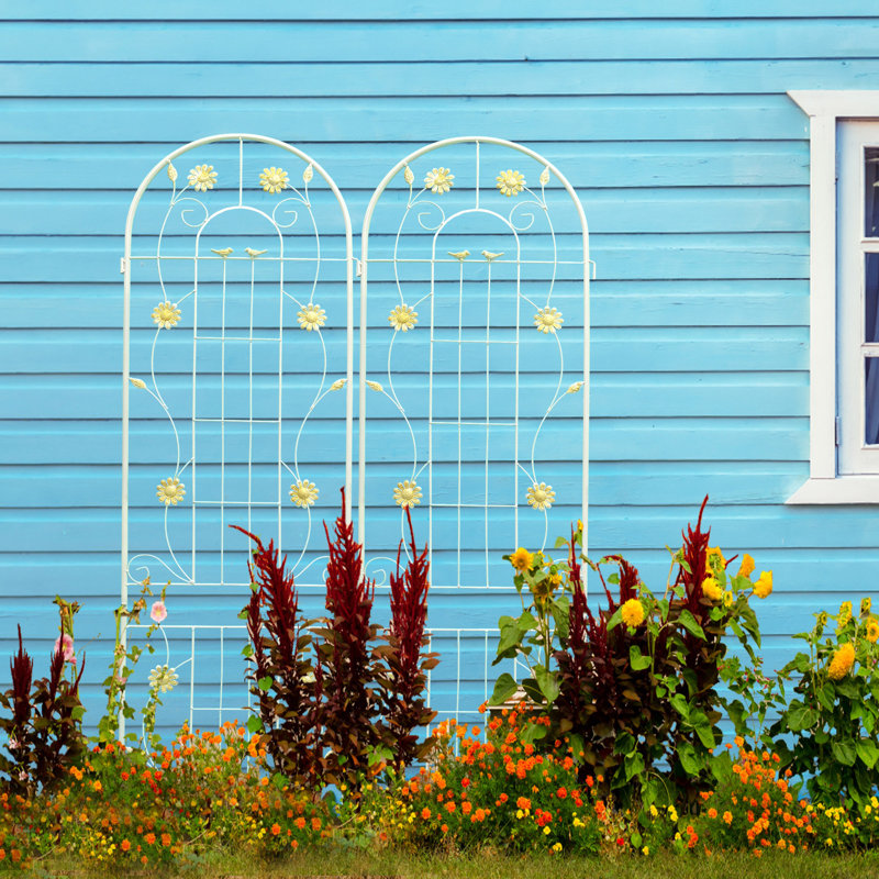Arche de jardin en métal avec plante grimpante à largeur réglable, H 86,7 po x l 40 po x P 4 po, Blanc, crème