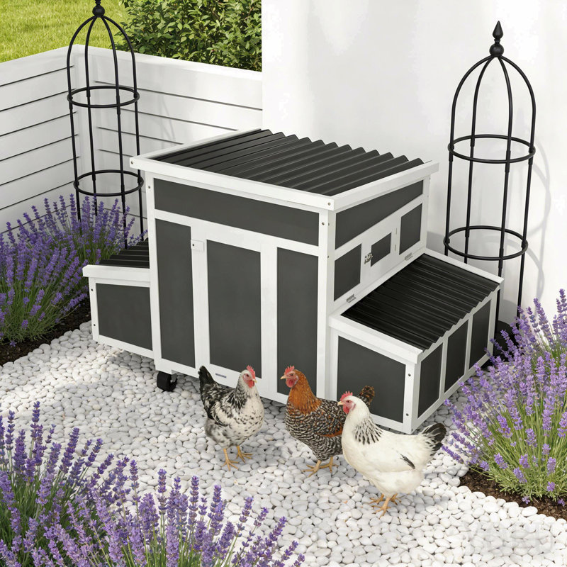 Pet House, Wooden Chicken Coop