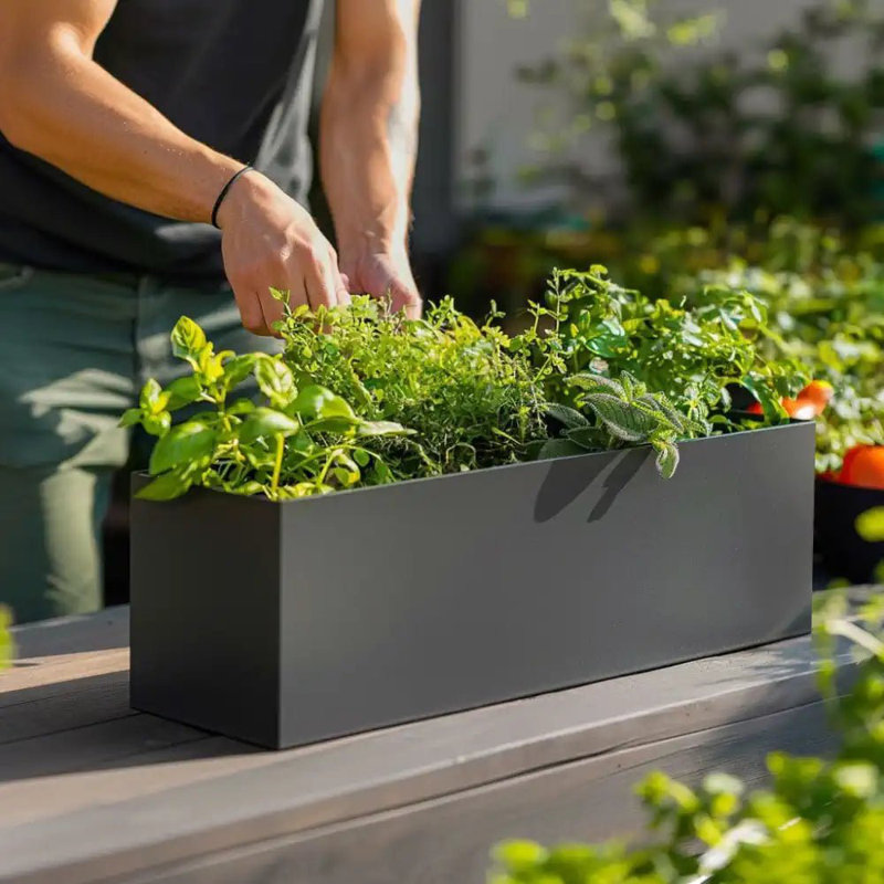 Reny Galvanised Zinc Trough Planter, 24cm H x 70cm W x 24cm D, Grey