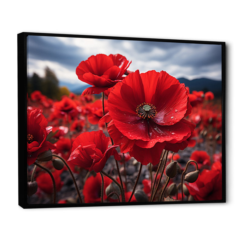 Flower Field Crimson Poppies - Floral Wall Art Prints, 16" H x 32" W, Cadre flottant noir