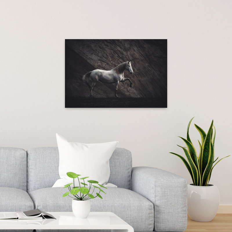 Cheval blanc, sable noir, dramatique, cheval minimaliste, paysage, art mural, H 24 po x l 36 po