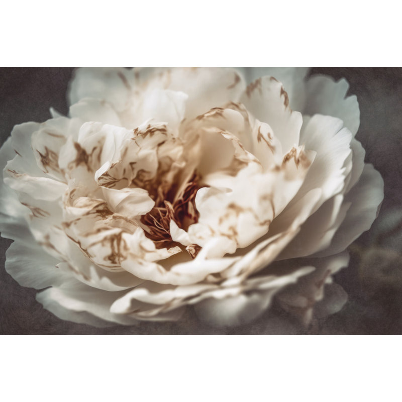 Wrapped Canvas Print, 50.8 cm H x 76.2 cm W