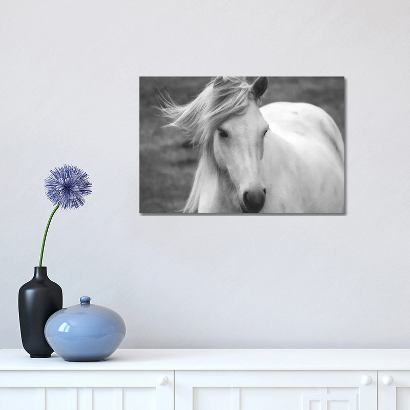 «Snow White» par Michelee Scott - photographie sur toile tendue, H 12 po x l 18 po x 1,5 po