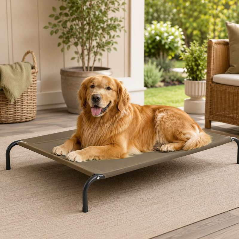 Lit d'extérieur pour chien 49 po, Brown