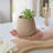Brixen Polyresin Table Vase-1344954061