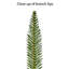 Arbre de Noël épinette 7,5 pi pré-éclairé